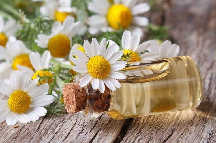 ¿Cómo actúan los aceites esenciales? ¿Cómo funciona el cerebro con la aromaterapia ¿Cuáles son los mejores olores del mundo? ¿Qué significado tienen los aromas?